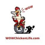 WOW Chicken Life Logo