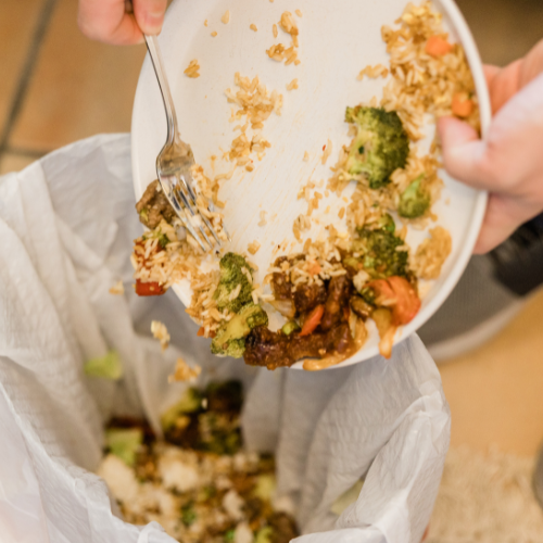 Question Everything: Especially these 4 meal services.